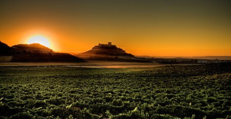 atardecer_vinedo_pago_de_carraovejas