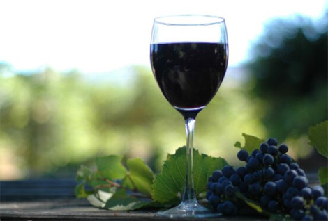 turismo_enologico_somontano