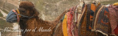 260194_10201171106180598_168391527_n