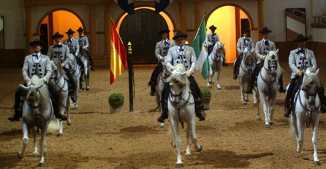 tr_50_1_81_Caballo(F)