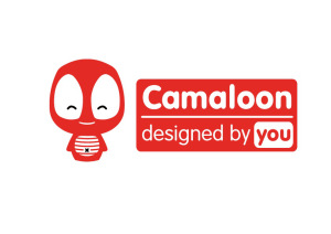 camaloon-image-fin