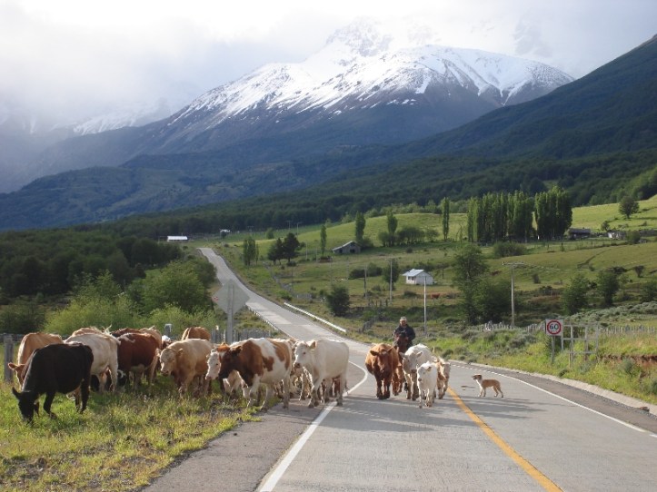 carretera-austral-1350 qué ver y hacer en chile: esa lejana franja de tierra y belleza Qué ver y hacer en Chile: Esa lejana franja de tierra y belleza carretera austral 1350