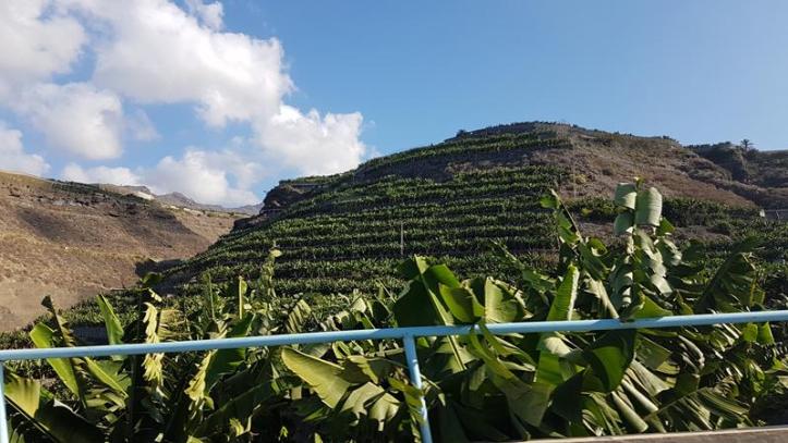 20161001_1135330-copy las 5 mejores playas de la isla de la palma Las 5 mejores playas de la Isla de La Palma 20161001 1135330 copy