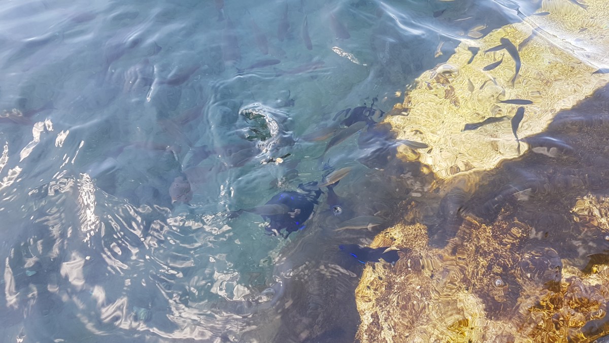 20161001_171504 las 5 mejores playas de la isla de la palma Las 5 mejores playas de la Isla de La Palma 20161001 171504