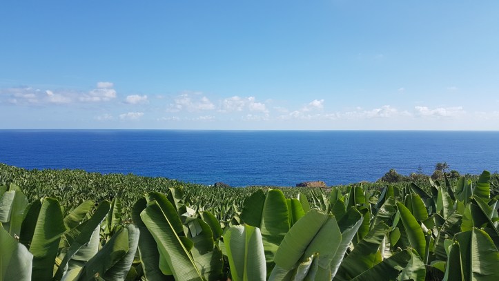20161002_130333 las 5 mejores playas de la isla de la palma Las 5 mejores playas de la Isla de La Palma 20161002 130333