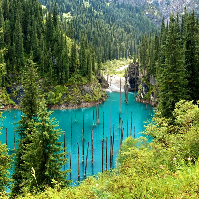 lago kaindy El lago Kaindy: una maravilla natural en Kazajistán lago kaindy 53ec80c0 800x800