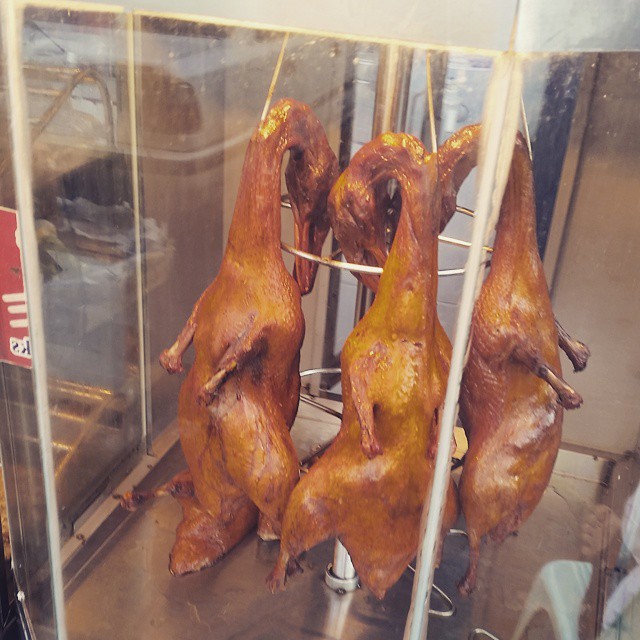 A comer!!!! Fresquito de la granja a su esquina de siempre. Re-re-refrito y recalentado con el sol birmano #viajar #turismo #tourism #travel #trip #asia #myanmar #burma #birmania